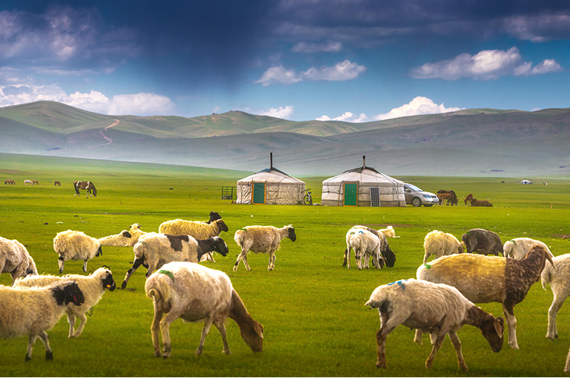 Nomadic family in Orkhon valley